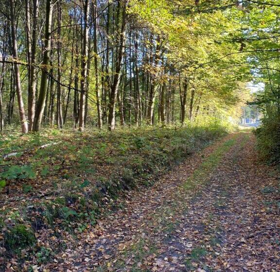 ホテル Prinz Albrecht