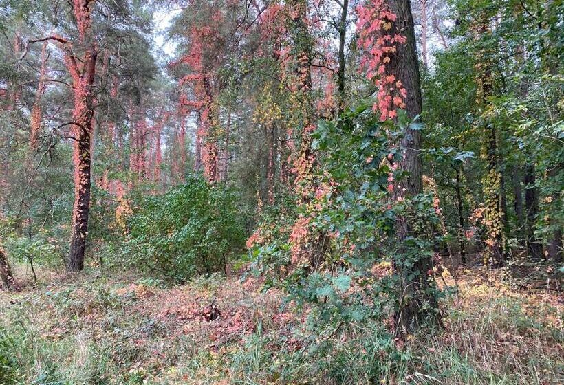 ホテル Prinz Albrecht