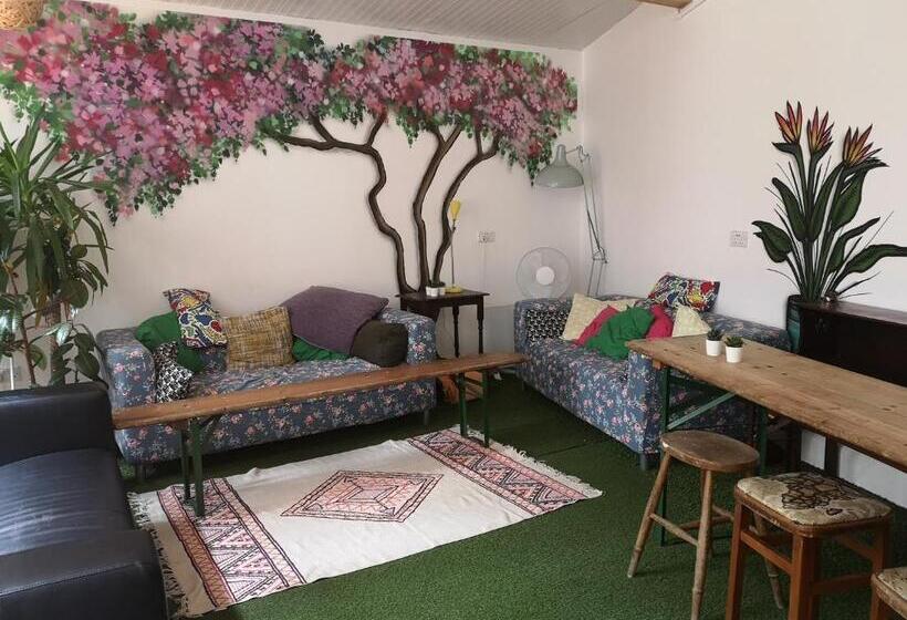 Общежитие Igloo Hybrid