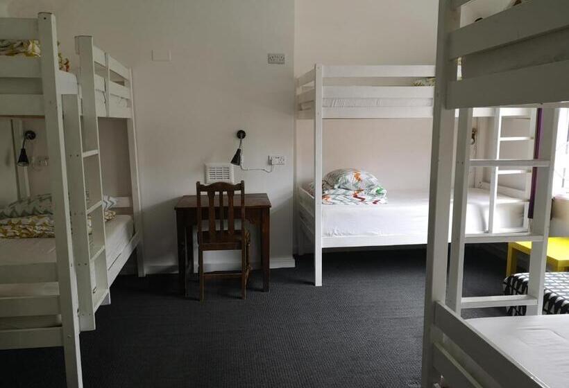 Общежитие Igloo Hybrid