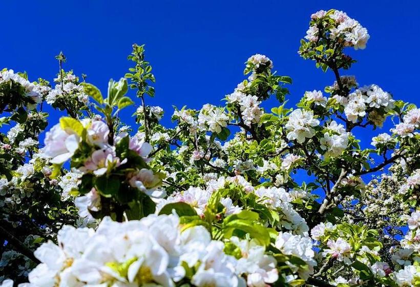 مبيت وإفطار Benslow Music