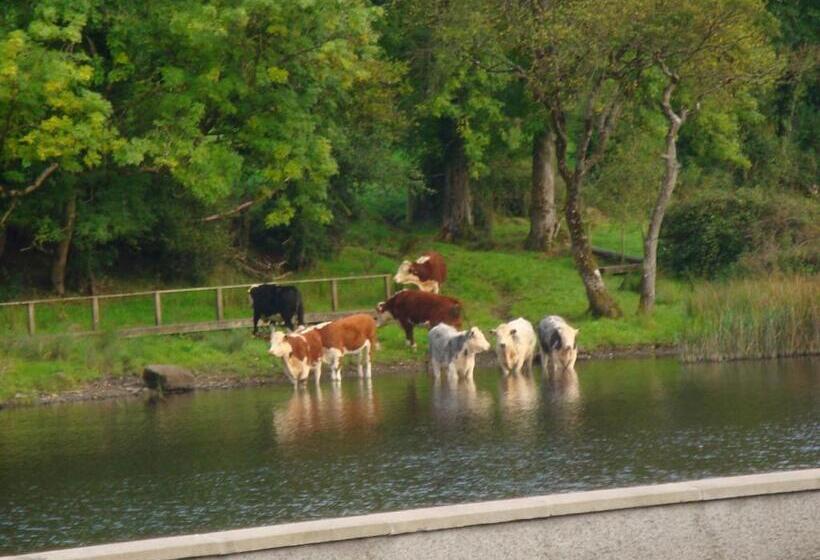 住宿加早餐  Corrigans Shore House