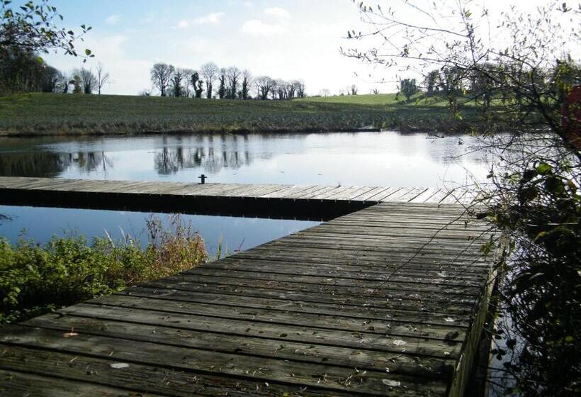 住宿加早餐  Corrigans Shore House