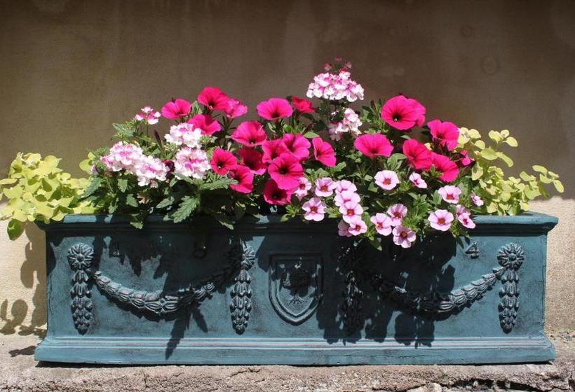 住宿加早餐  Poplar House