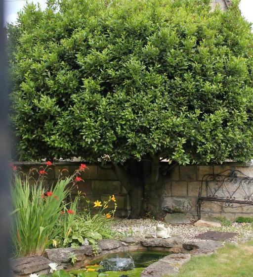 住宿加早餐  Poplar House