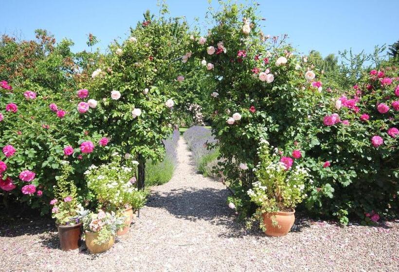 Bed and Breakfast The Old House