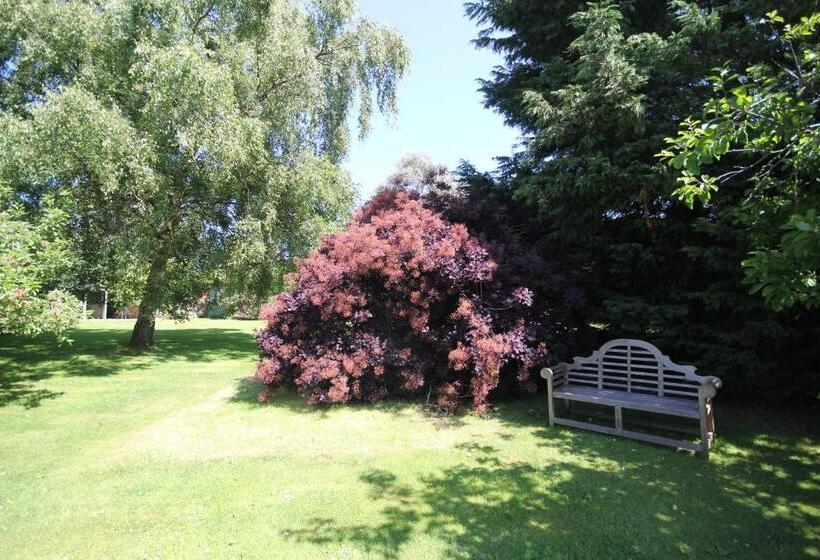 Bed and Breakfast The Old House