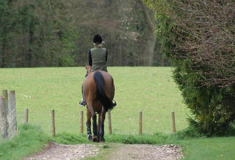 Bed and Breakfast The Old Kiln House