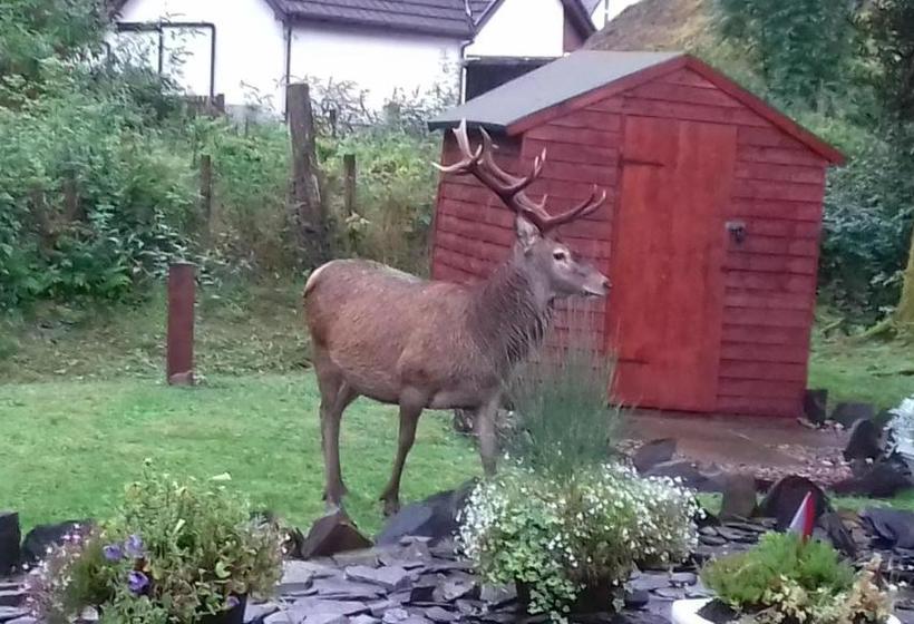 Beechwood Cottage B&b