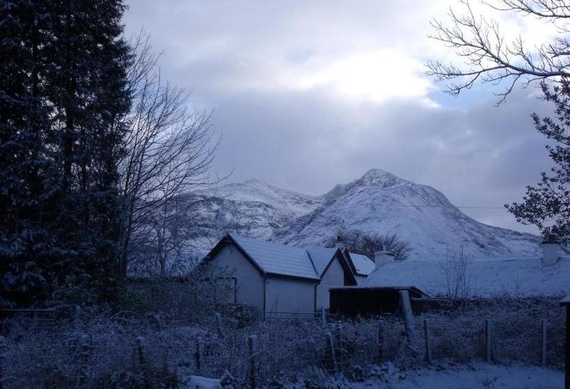 Beechwood Cottage B&b