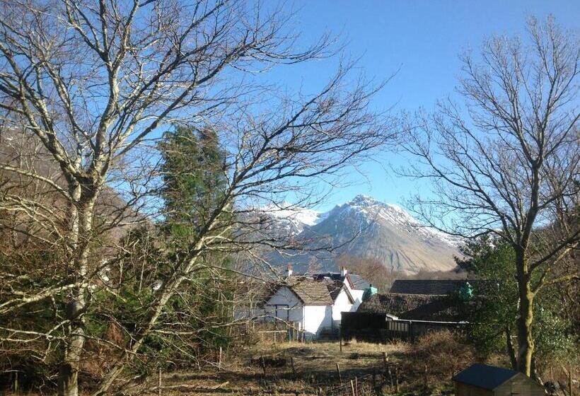 Beechwood Cottage B&b