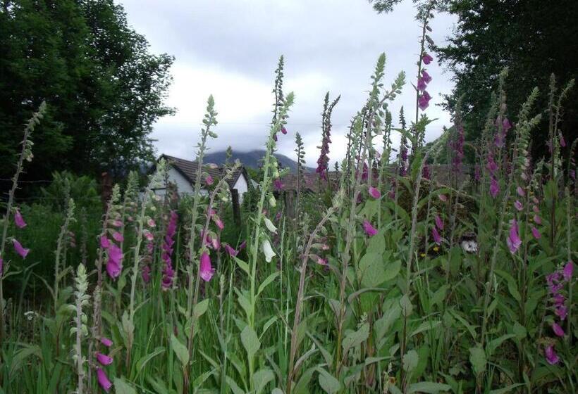 Beechwood Cottage B&b