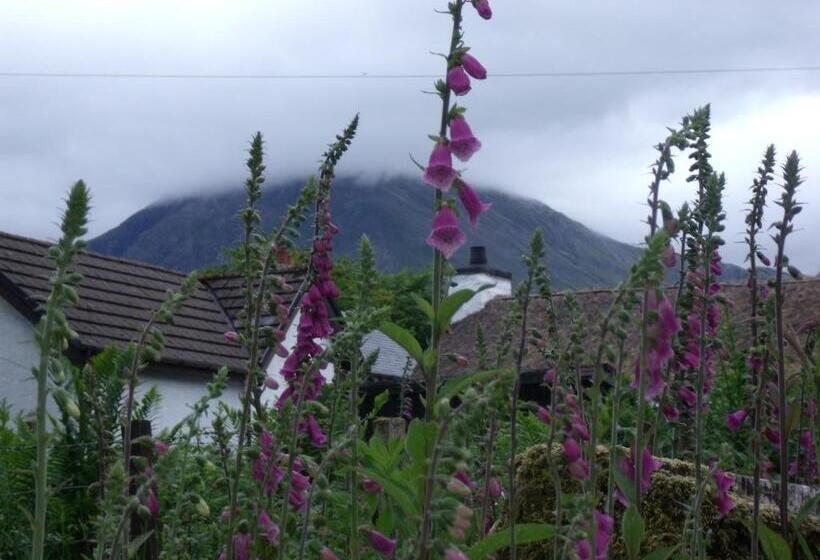 Beechwood Cottage B&b