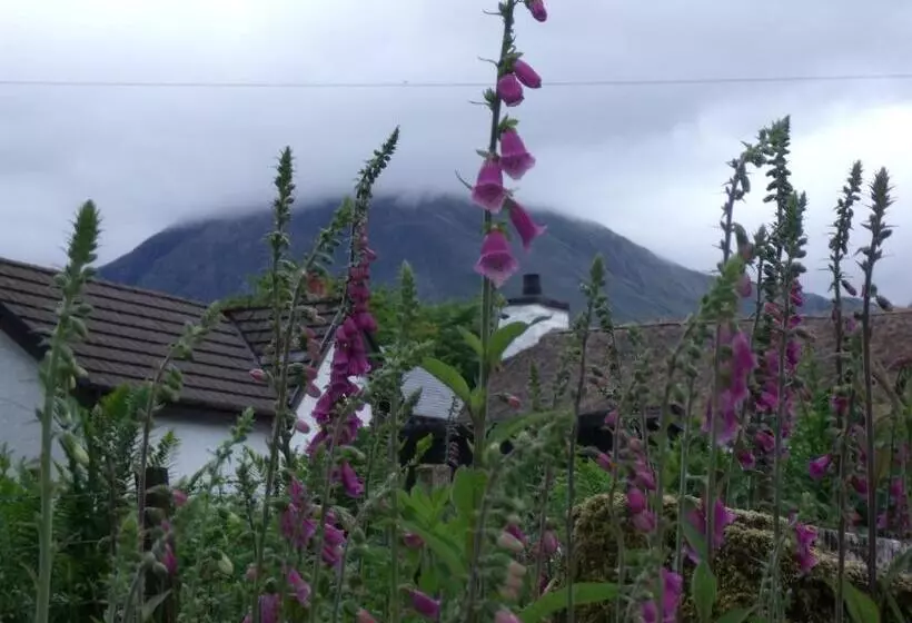 Beechwood Cottage B&b