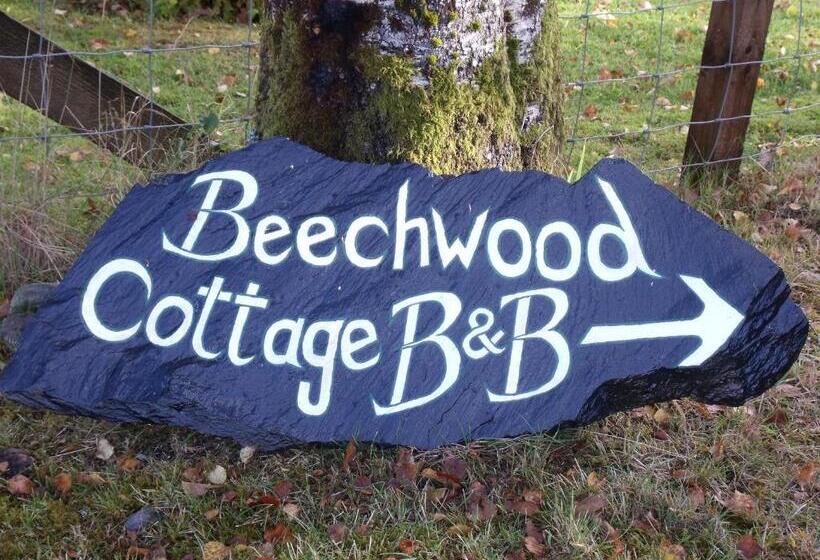 Beechwood Cottage B&b