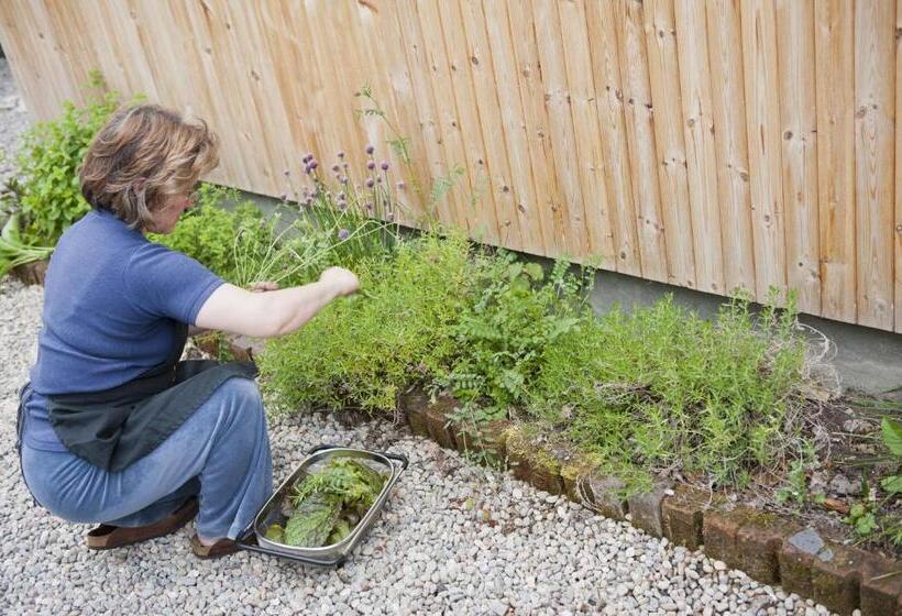 הוסטל Fraoch Lodge