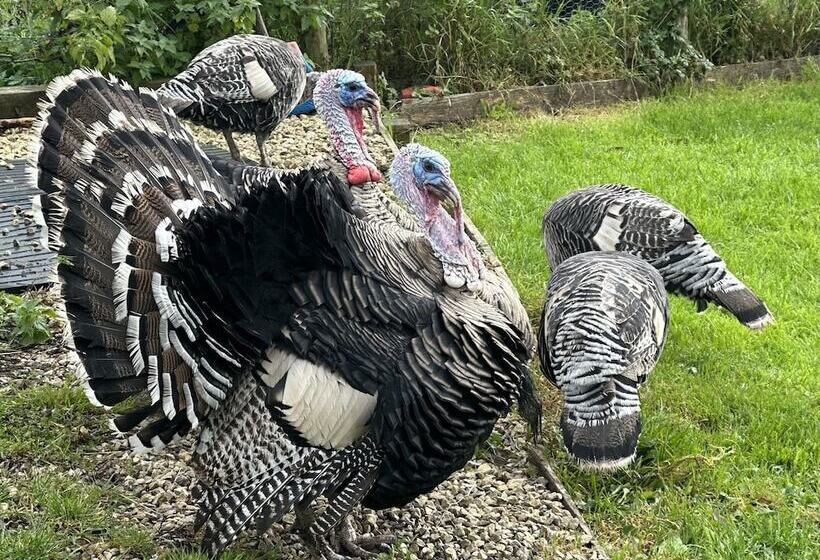 Gratton Grange Farm B&b