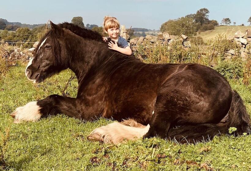 Gratton Grange Farm B&b