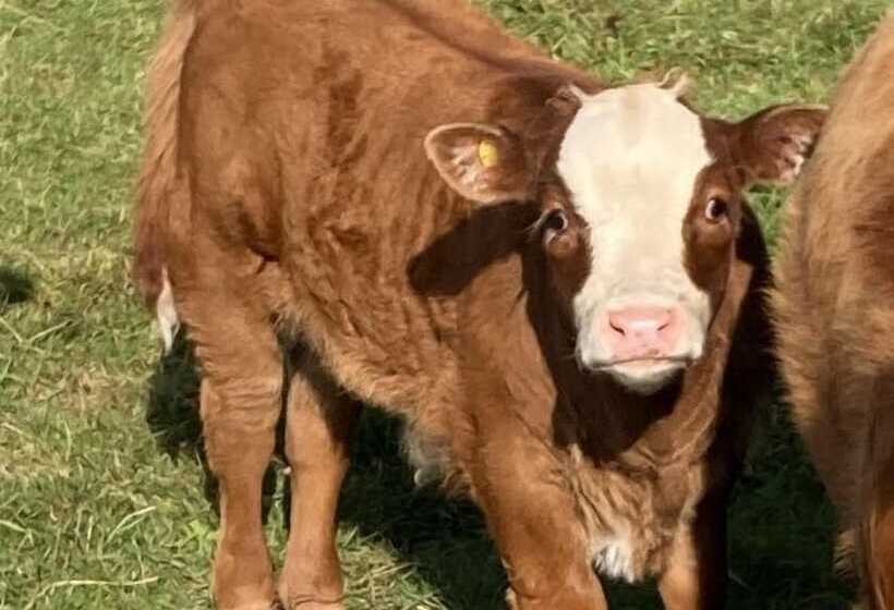 Gratton Grange Farm B&b