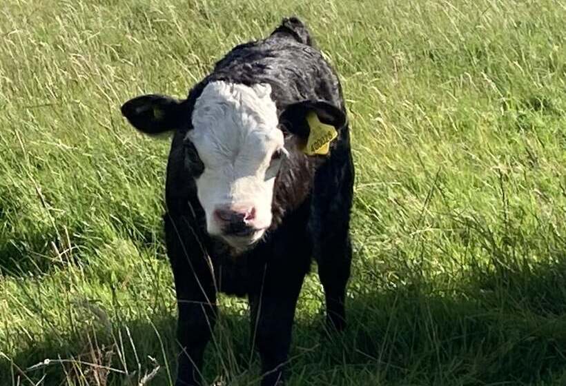 Gratton Grange Farm B&b