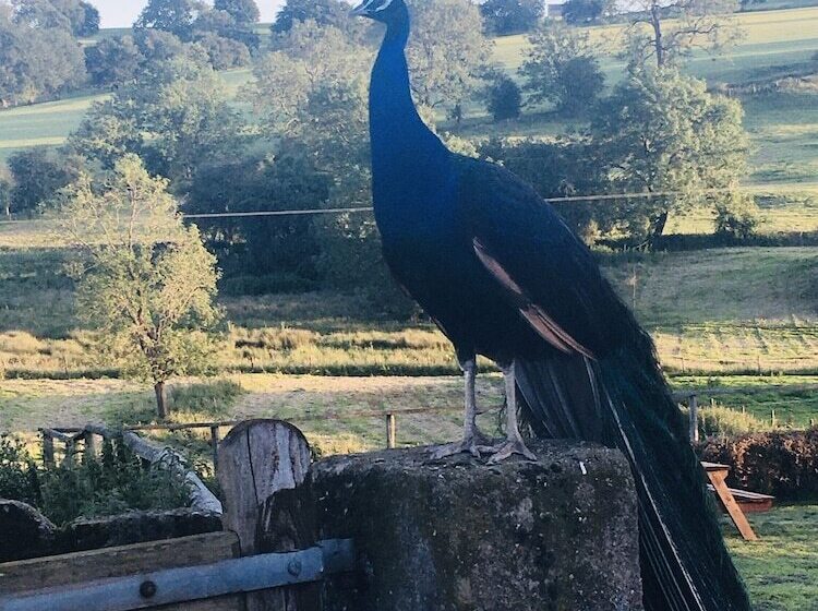 Gratton Grange Farm B&b