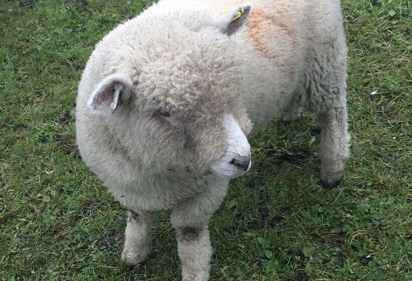 Gratton Grange Farm B&b