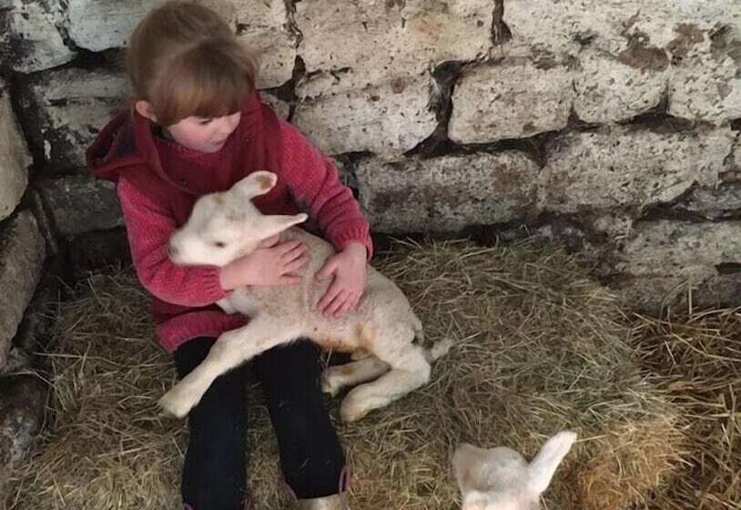 Gratton Grange Farm B&b