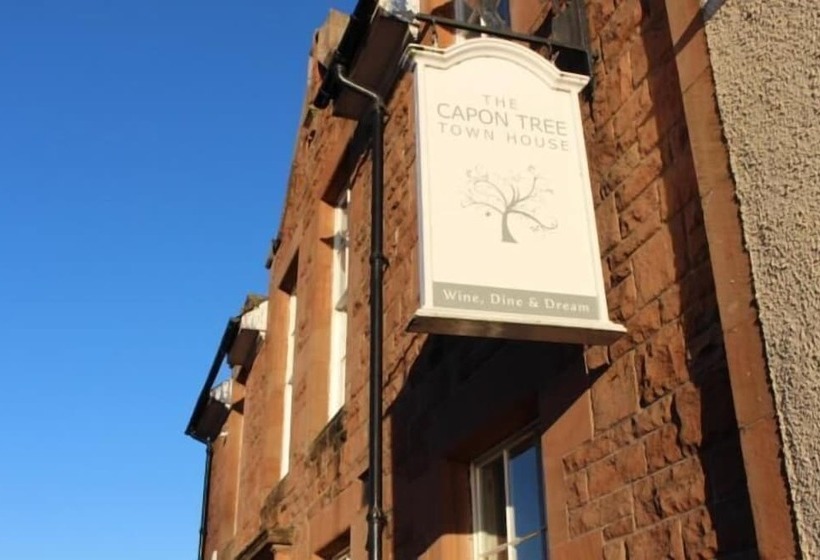בית מלון כפרי The Capon Tree Town House