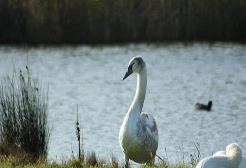 تختخواب و صبحانه Auplands En Suite Rooms