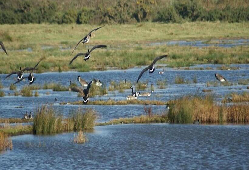 تختخواب و صبحانه Auplands En Suite Rooms