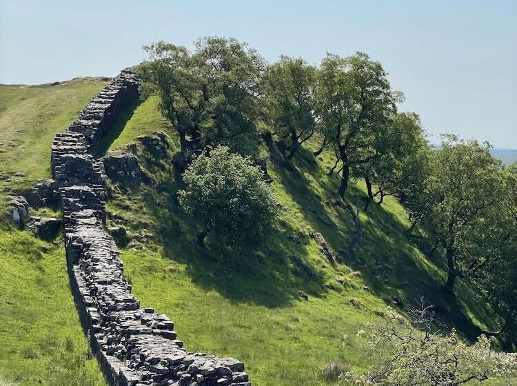 צימר Bojangles Guest House