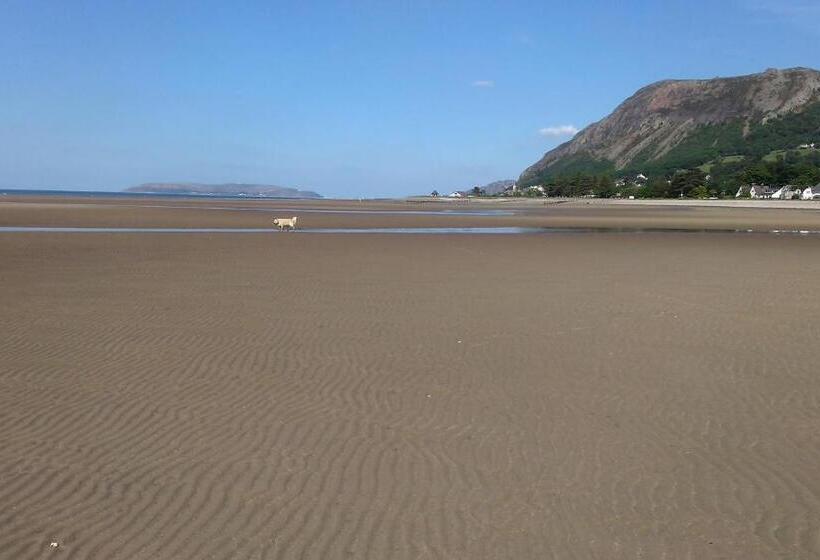 住宿加早餐  Min Y Don Guest House