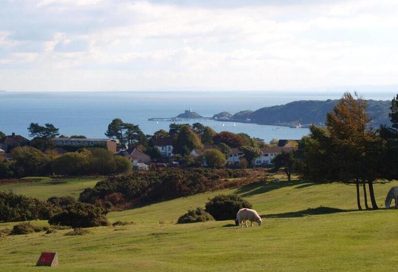 Bed and Breakfast Somerfield Lodge