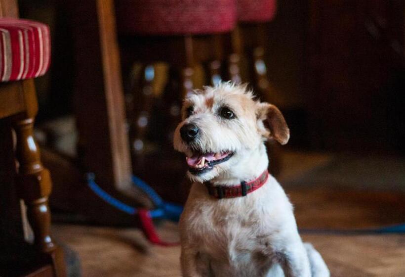 Bed and Breakfast The Old Inn