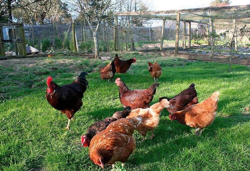 مبيت وإفطار The Old Rectory