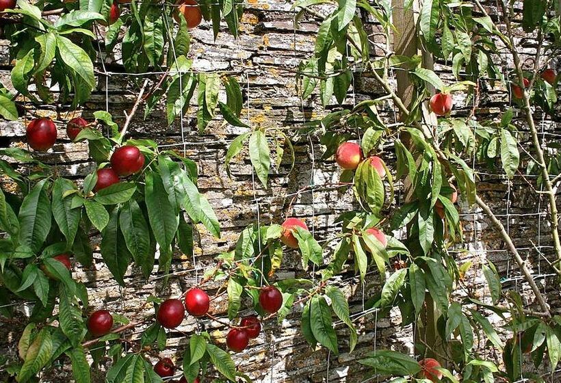 مبيت وإفطار The Old Rectory