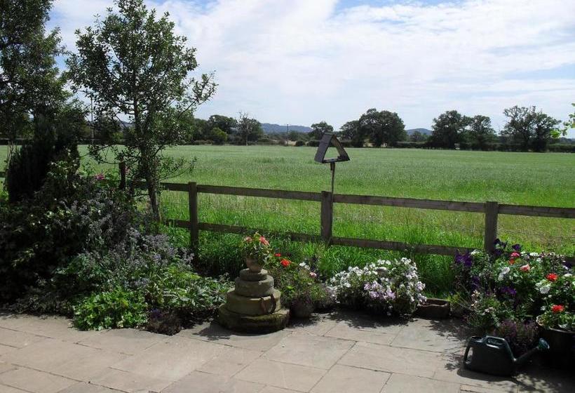 Fernlea Cottage Bed And Breakfast