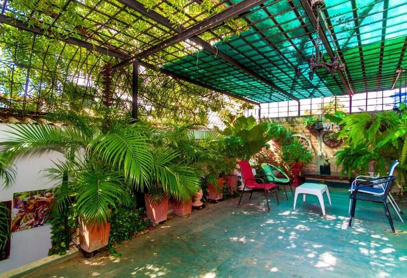 تختخواب و صبحانه Mauricio Babilonia