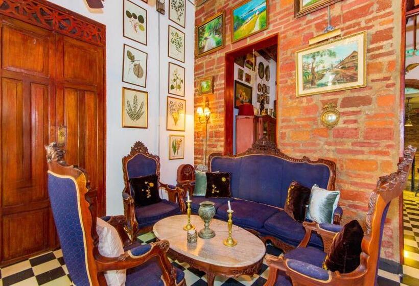 تختخواب و صبحانه Mauricio Babilonia