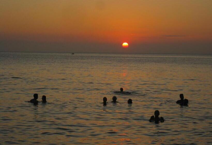 تختخواب و صبحانه Mauricio Babilonia