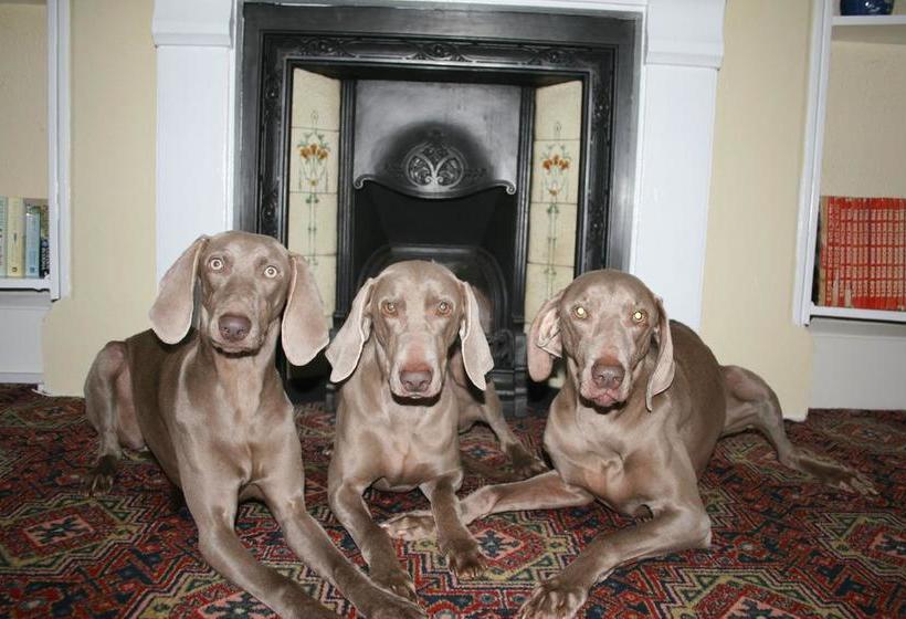 צימר The Minadab Cottage