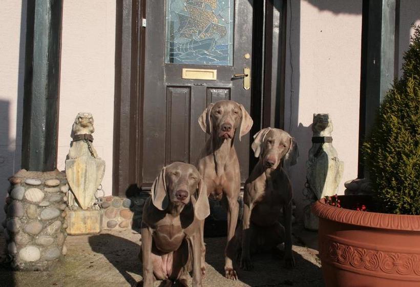 צימר The Minadab Cottage