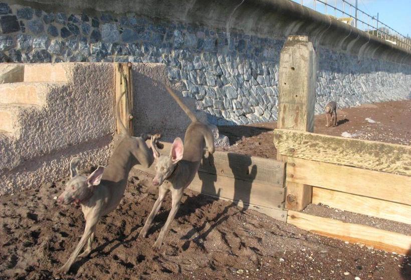 צימר The Minadab Cottage