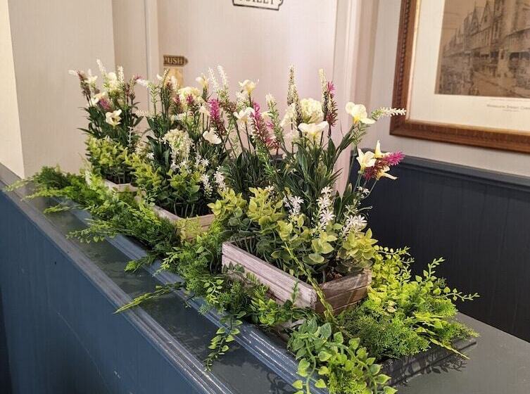 ホテル The Coach House Inn