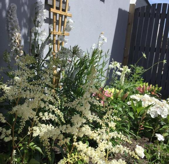 Bed and Breakfast Tor View