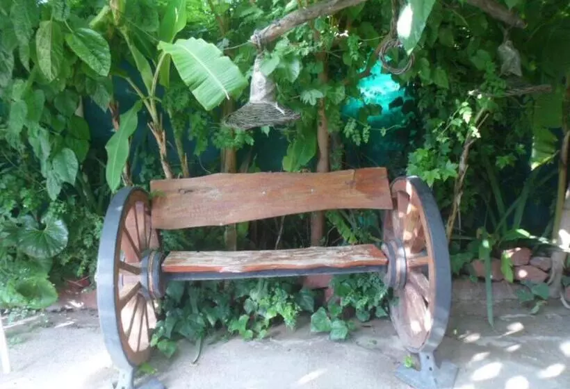 Aamiaismajoitus (B&B) El Viejo Molino