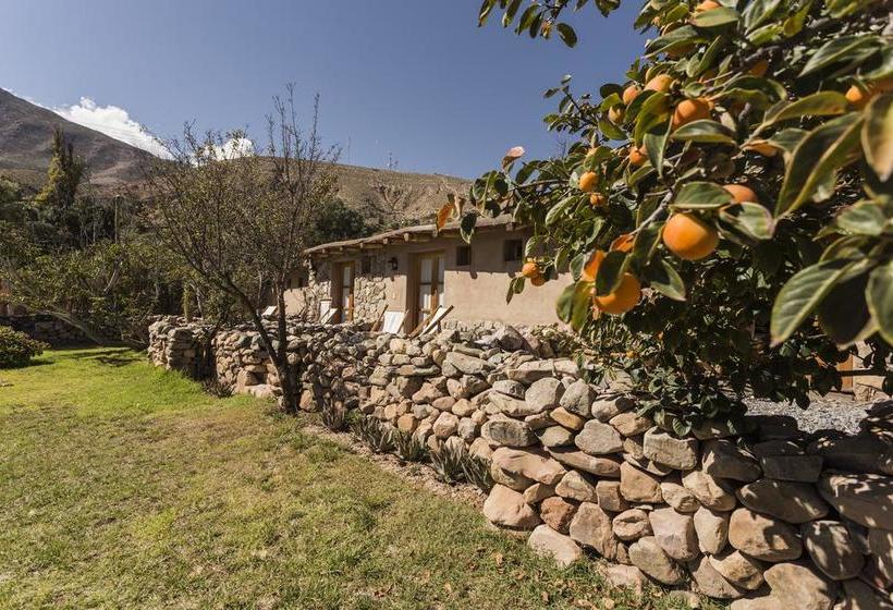 호텔 Posada De Luz