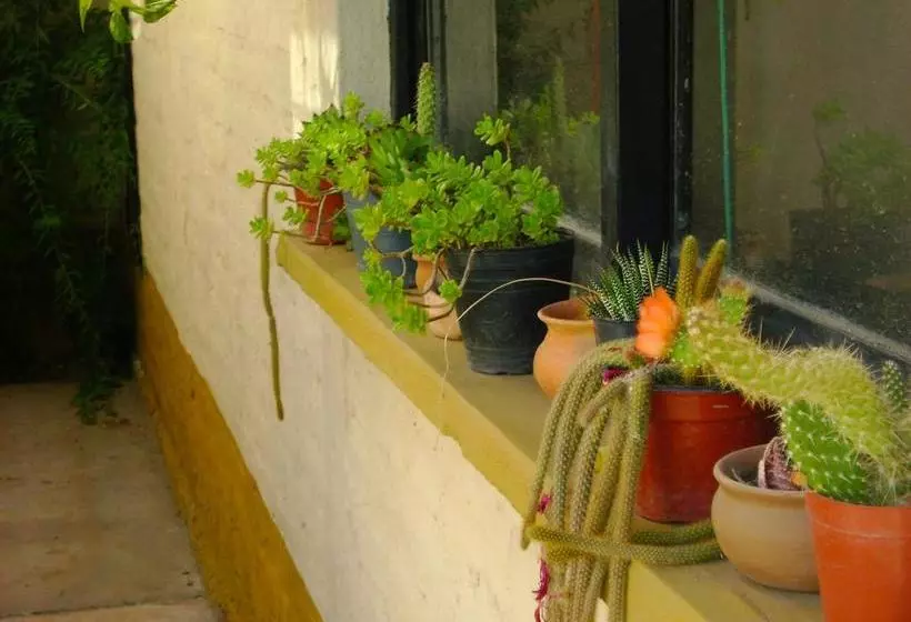 Pasos Andinos B&b