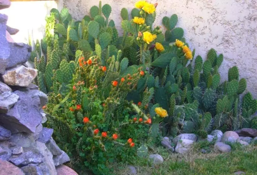 Pasos Andinos B&b