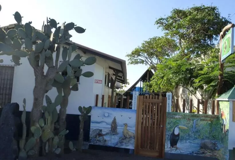 ユースホステル Posada Del Caminante